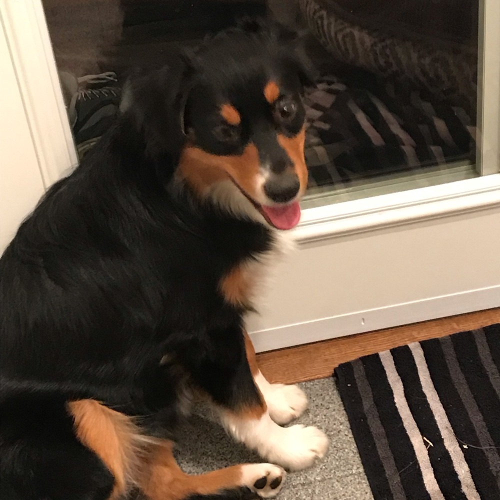 Meet your Posher, Spencer